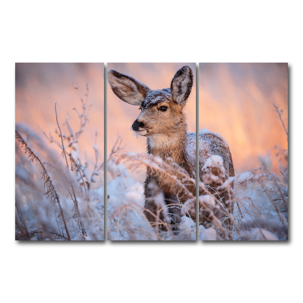 AUTO-MOCKUP WHITE | Colorado Doe | 3 Piece | Gallery Wrap Canvas | group=12x24