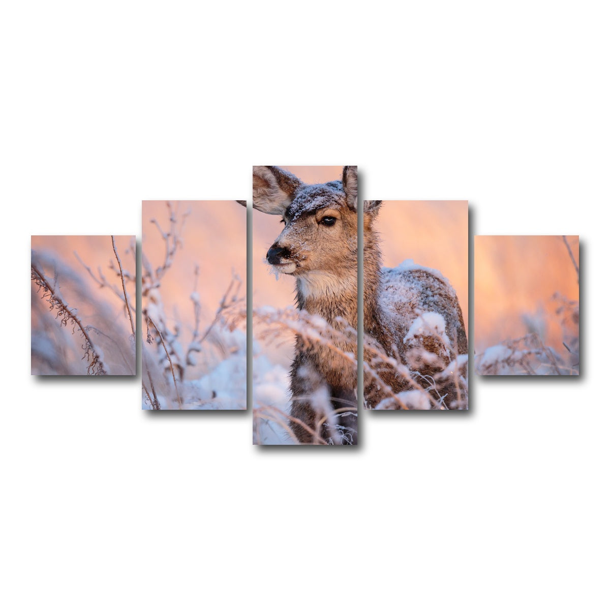 AUTO-MOCKUP WHITE | Colorado Doe | 5 Piece | Gallery Wrap Canvas | group=5_short