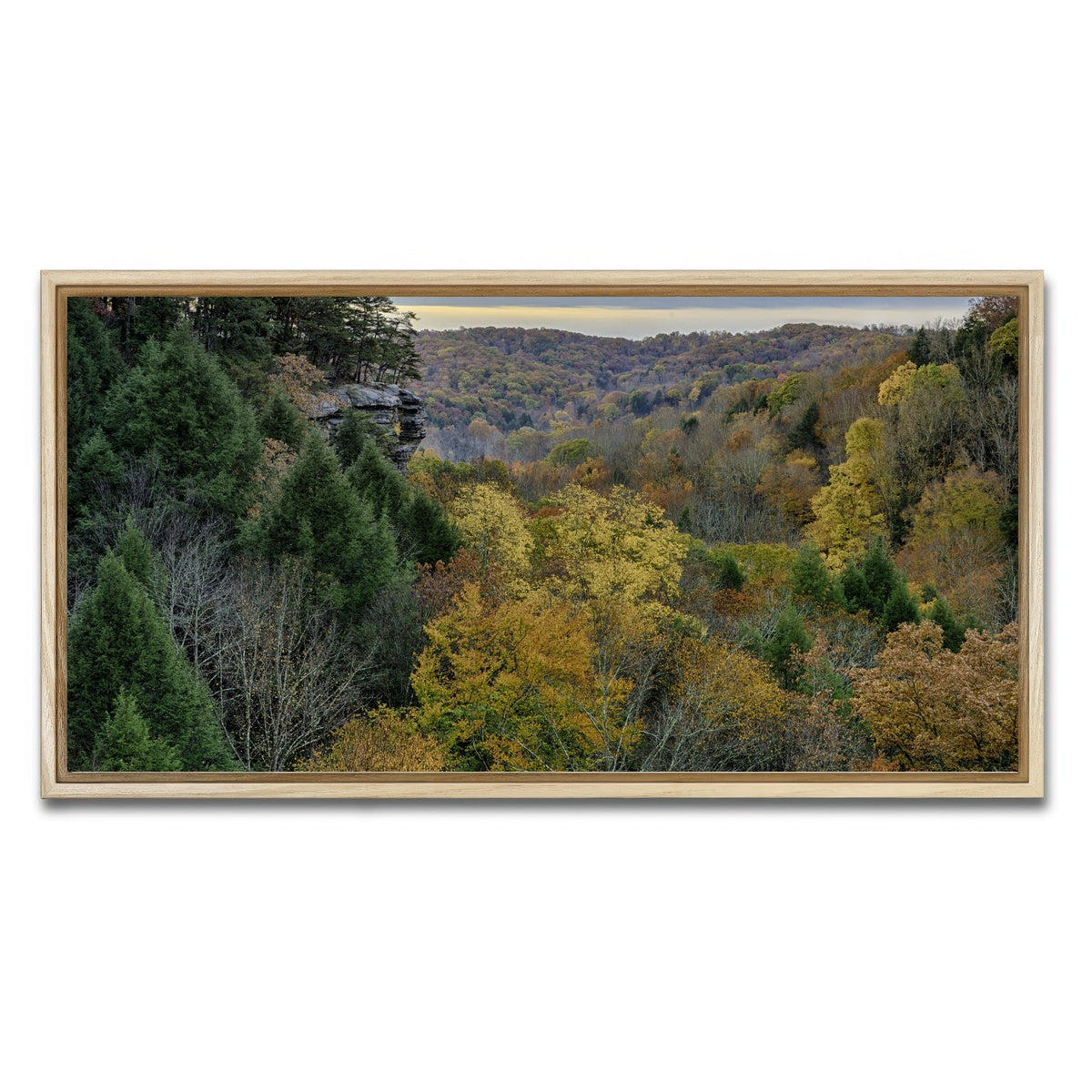 AUTO-MOCKUP WHITE | Conkle's Hollow State Nature Preserve | 1 Piece | Natural Framed Canvas | group=2x1