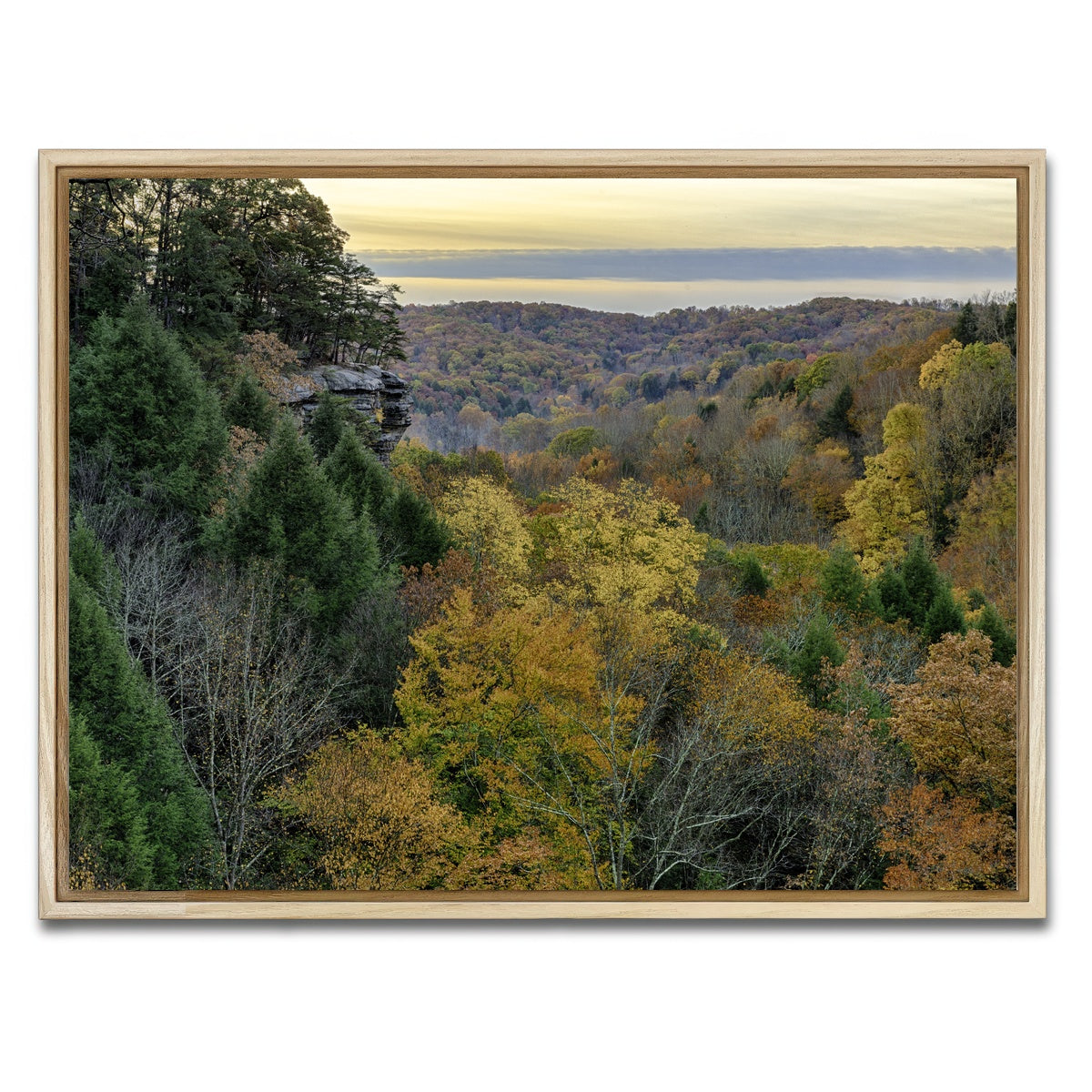 AUTO-MOCKUP WHITE | Conkle's Hollow State Nature Preserve | 1 Piece | Natural Framed Canvas | group=4x3