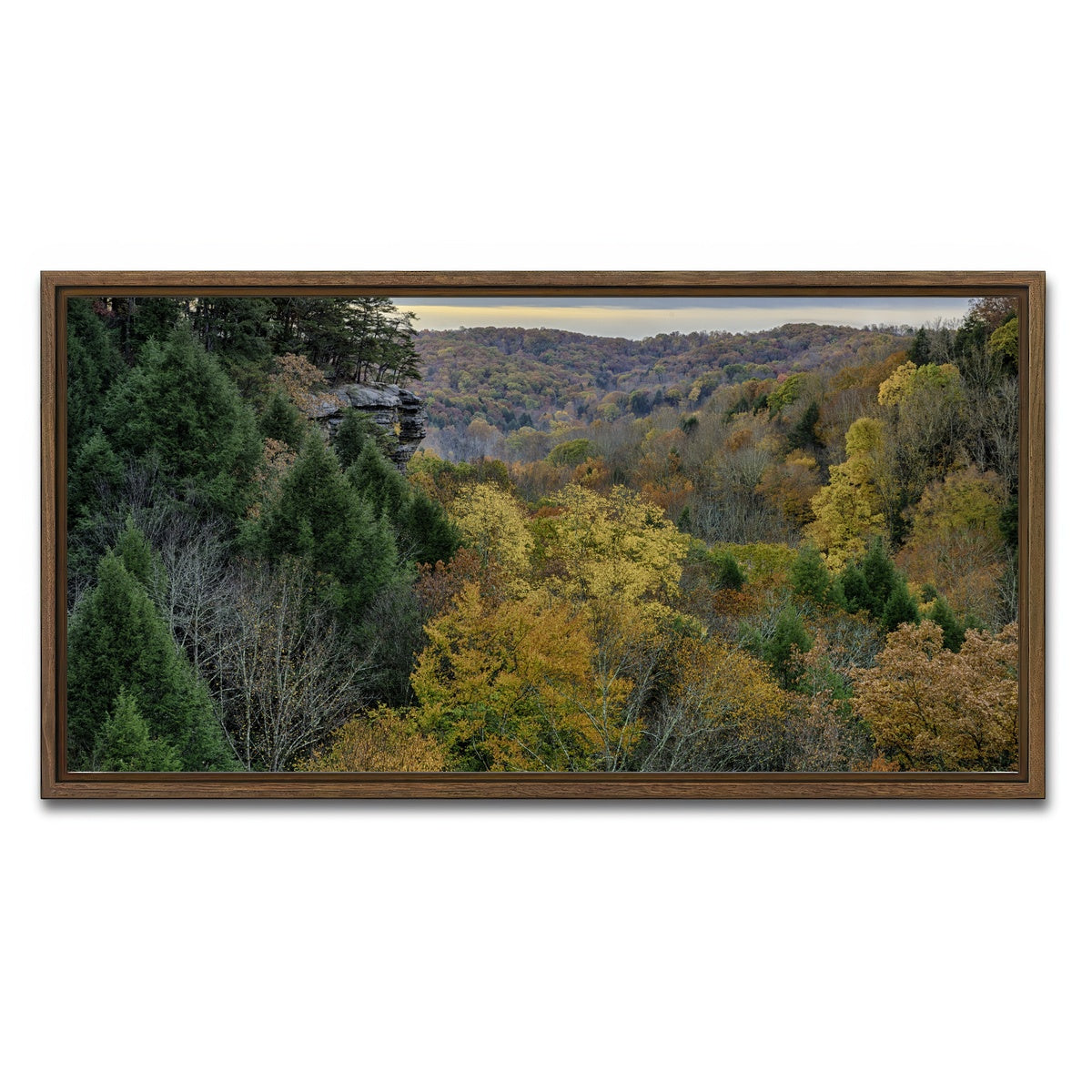 AUTO-MOCKUP WHITE | Conkle's Hollow State Nature Preserve | 1 Piece | Walnut Framed Canvas | group=2x1