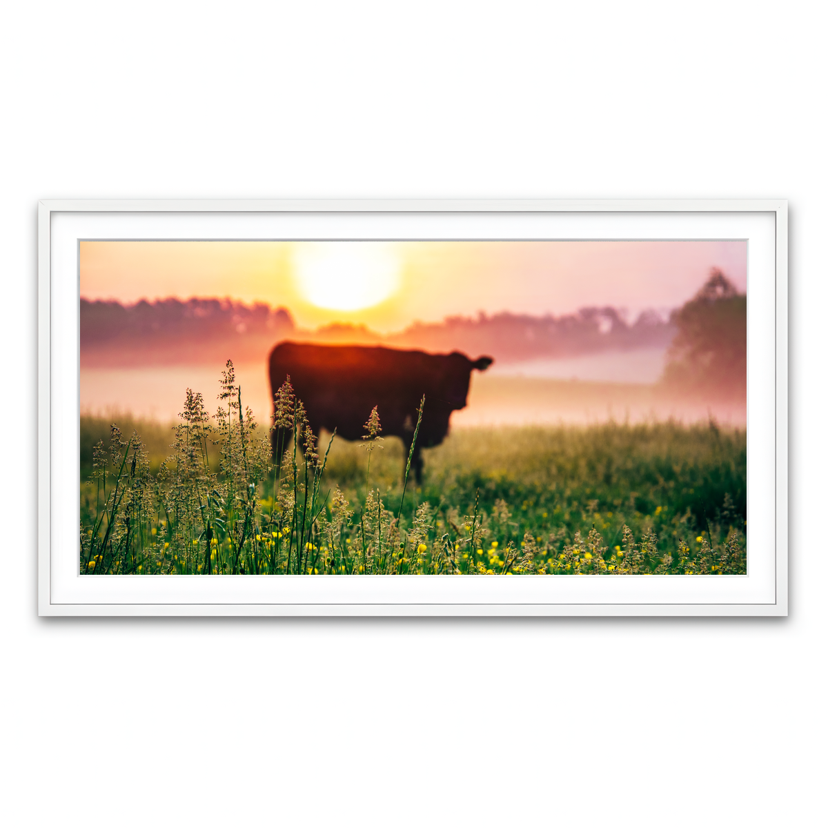 Framed Print 2x1 White