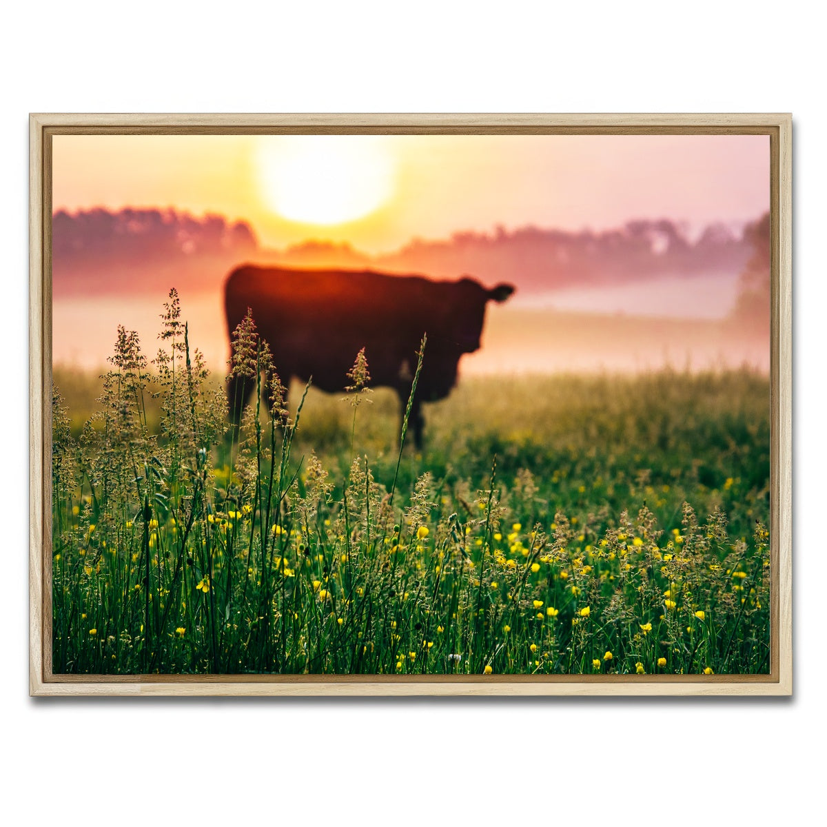 AUTO-MOCKUP WHITE | Cow Sunrise | 1 Piece | Natural Framed Canvas | group=4x3