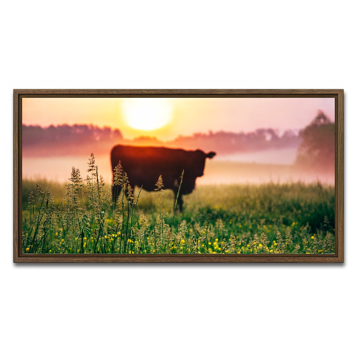 AUTO-MOCKUP WHITE | Cow Sunrise | 1 Piece | Walnut Framed Canvas | group=2x1