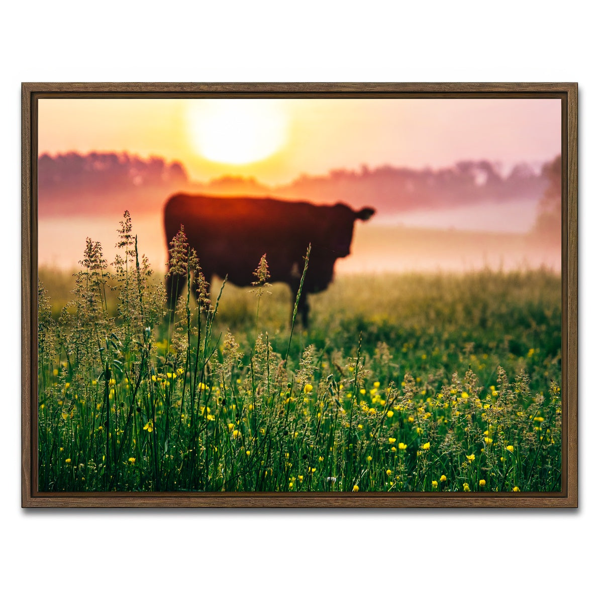 AUTO-MOCKUP WHITE | Cow Sunrise | 1 Piece | Walnut Framed Canvas | group=4x3