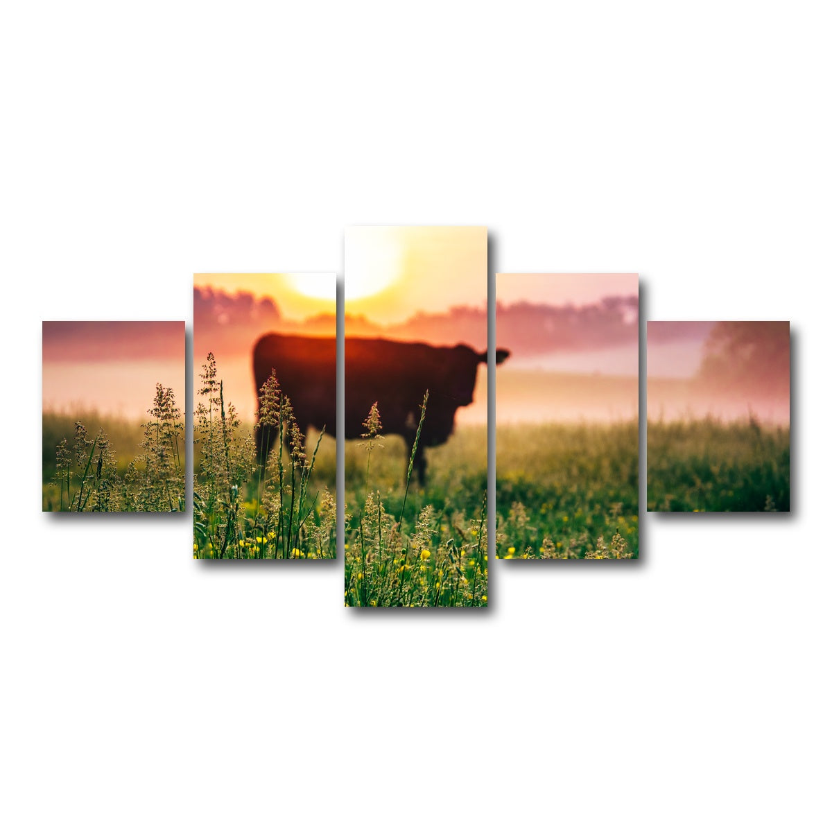 AUTO-MOCKUP WHITE | Cow Sunrise | 5 Piece | Gallery Wrap Canvas | group=5_short