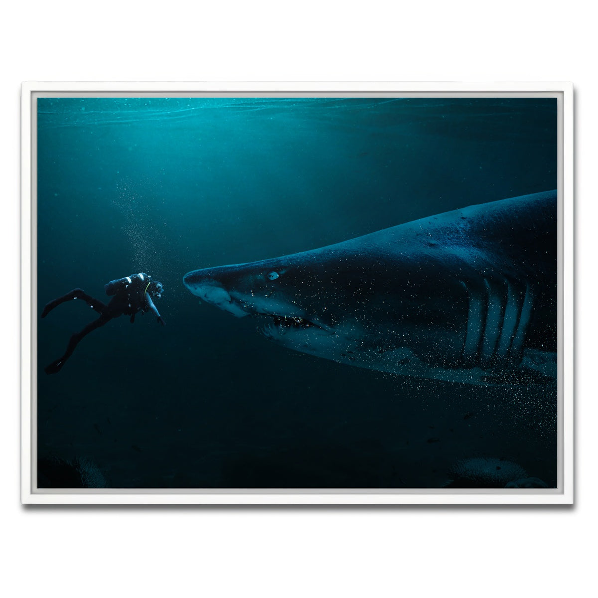 AUTO-MOCKUP WHITE | Diver and Shark | 1 Piece | White Framed Canvas | group=4x3
