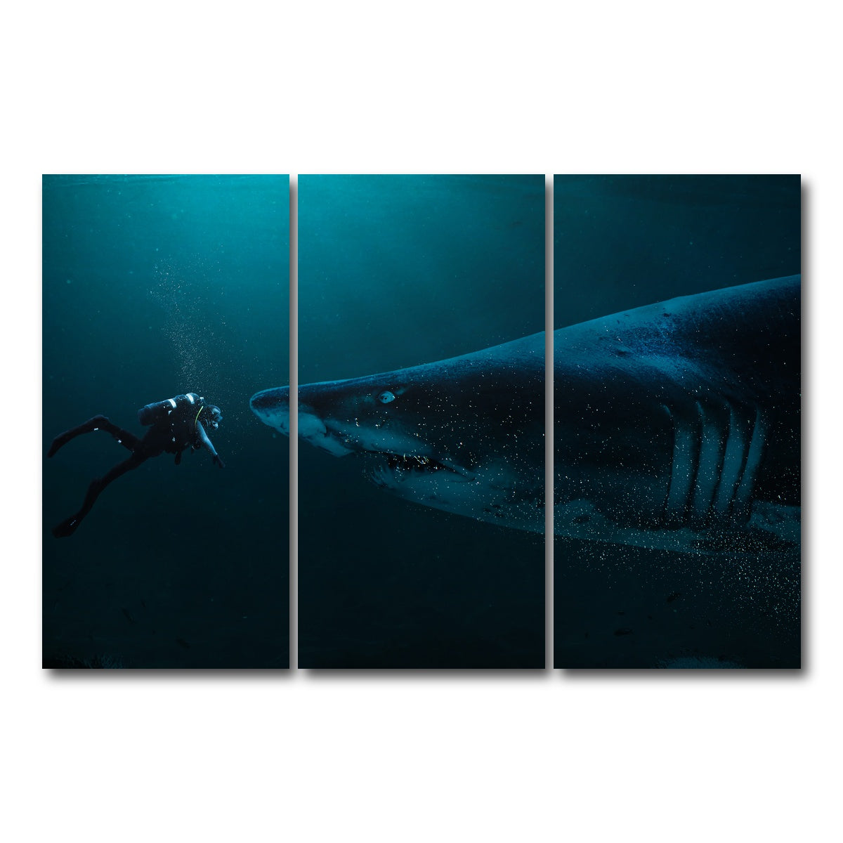AUTO-MOCKUP WHITE | Diver and Shark | 3 Piece | Gallery Wrap Canvas | group=12x24