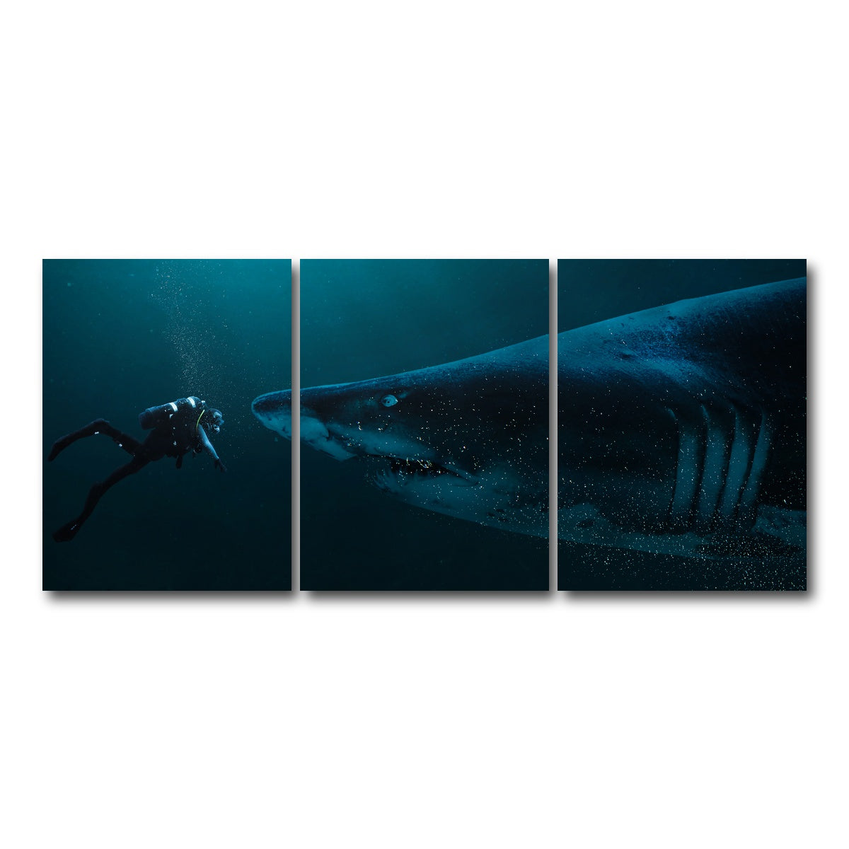 AUTO-MOCKUP WHITE | Diver and Shark | 3 Piece | Gallery Wrap Canvas | group=18x24