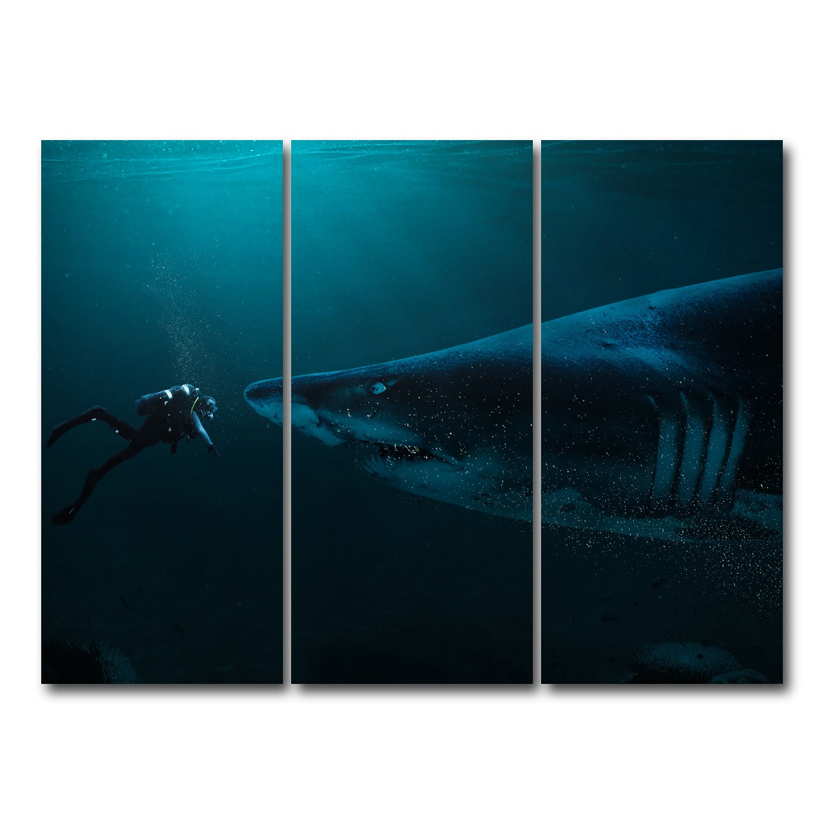AUTO-MOCKUP WHITE | Diver and Shark | 3 Piece | Gallery Wrap Canvas | group=8x18