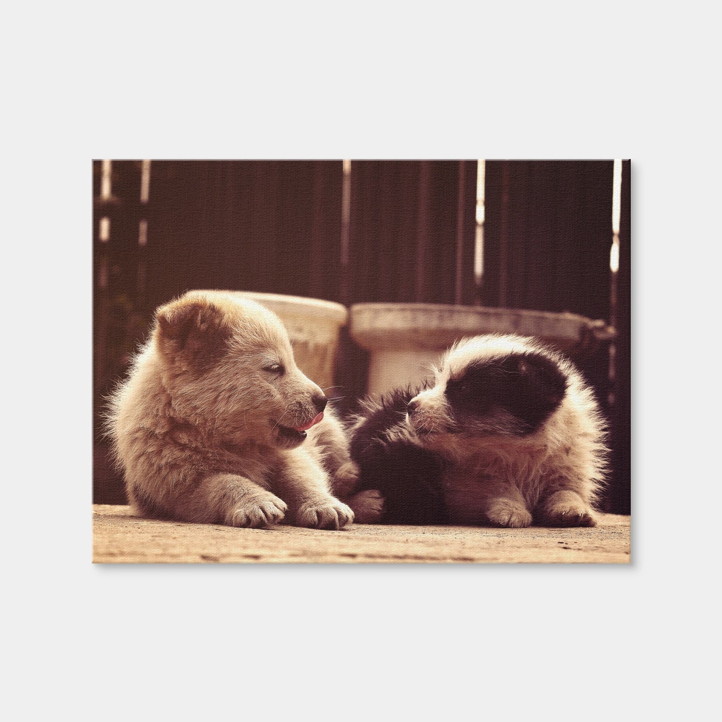 AUTO-MOCKUP WHITE | Dog's Best Friend | 1 Piece | Gallery Wrap Canvas | group=4x3