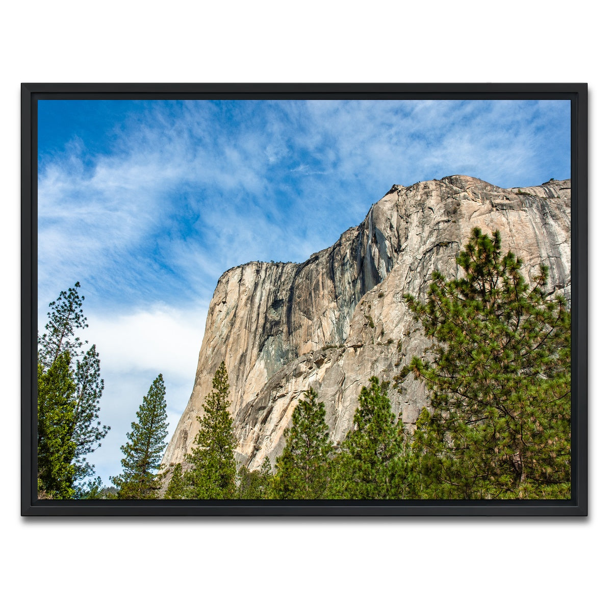 El Capitan Wall Art