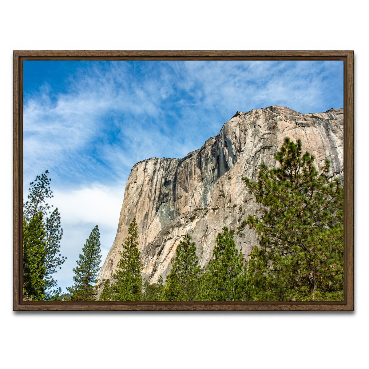 El Capitan Wall Art