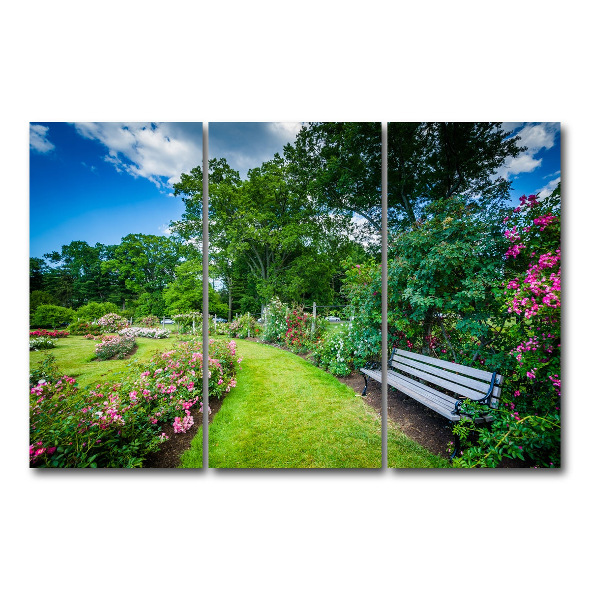 AUTO-MOCKUP WHITE | Elizabeth Park | 3 Piece | Gallery Wrap Canvas | group=12x24