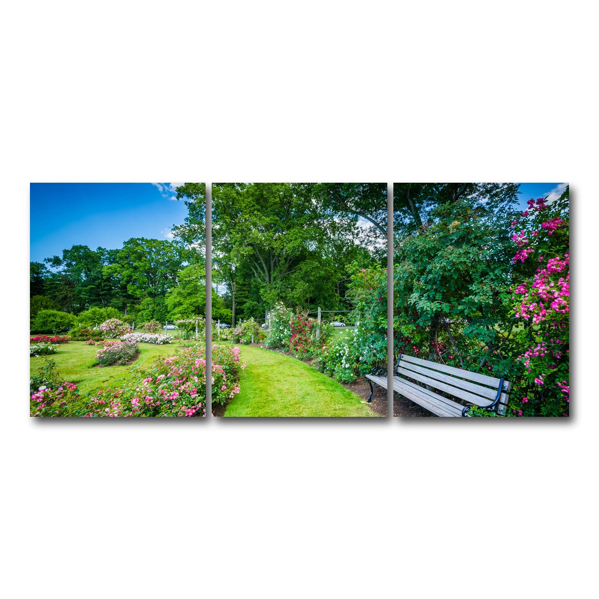 AUTO-MOCKUP WHITE | Elizabeth Park | 3 Piece | Gallery Wrap Canvas | group=18x24