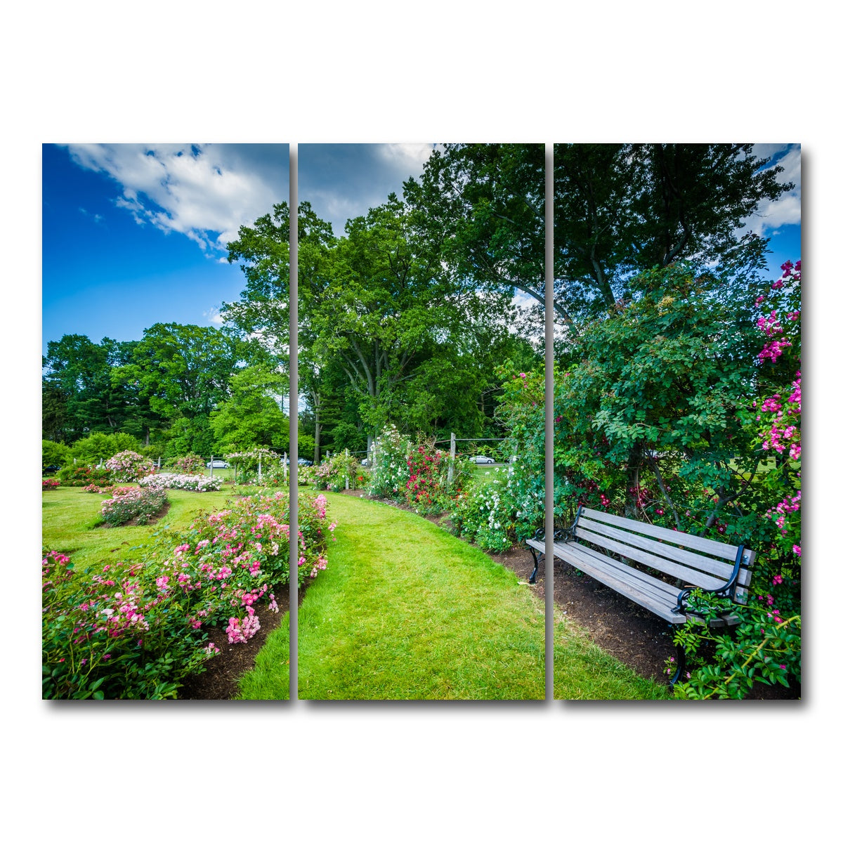 AUTO-MOCKUP WHITE | Elizabeth Park | 3 Piece | Gallery Wrap Canvas | group=8x18