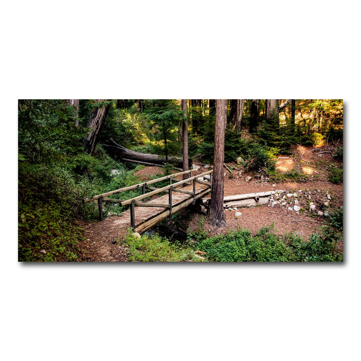 Ewoldsen Loop Bridge Wall Art