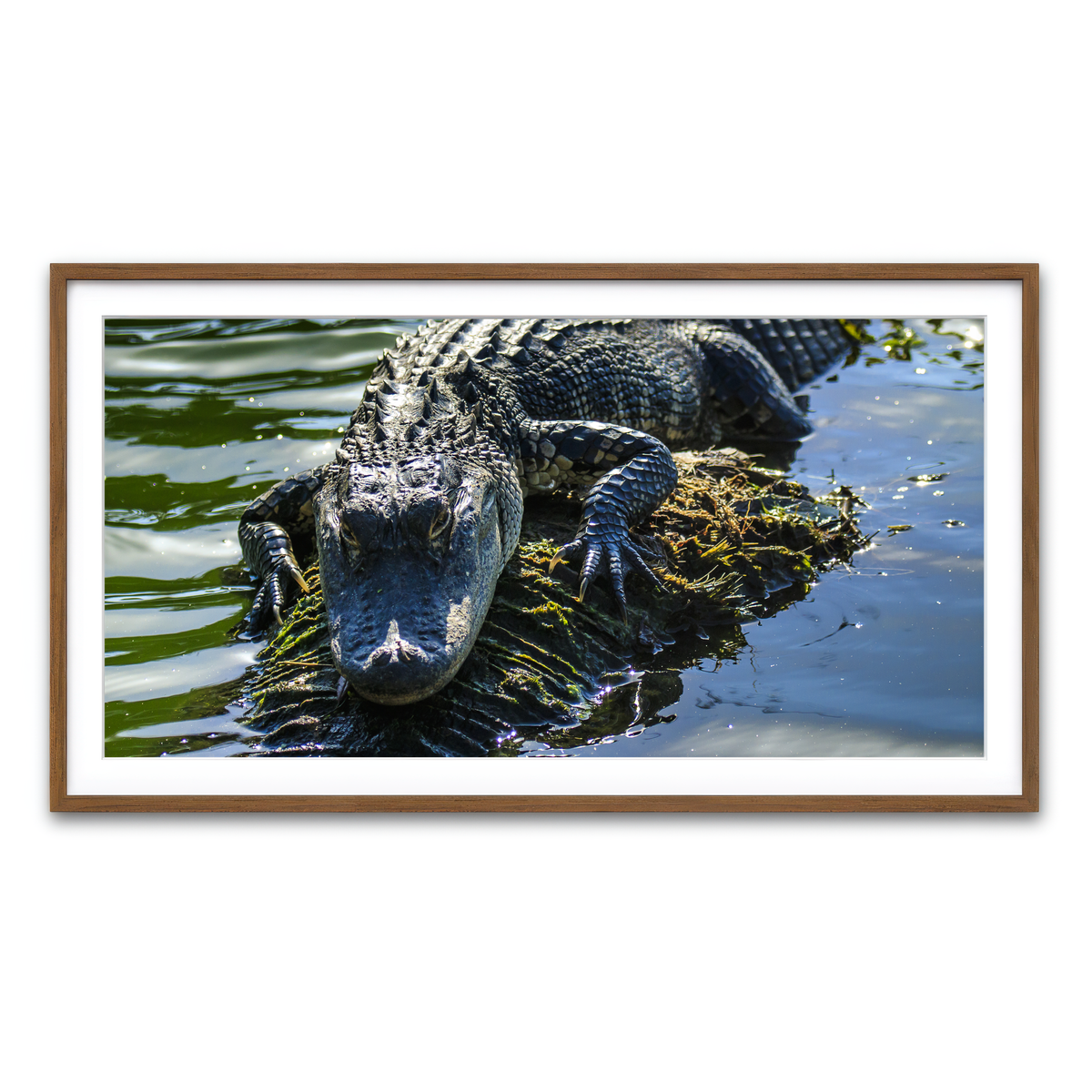 Framed Print 2x1 Walnut