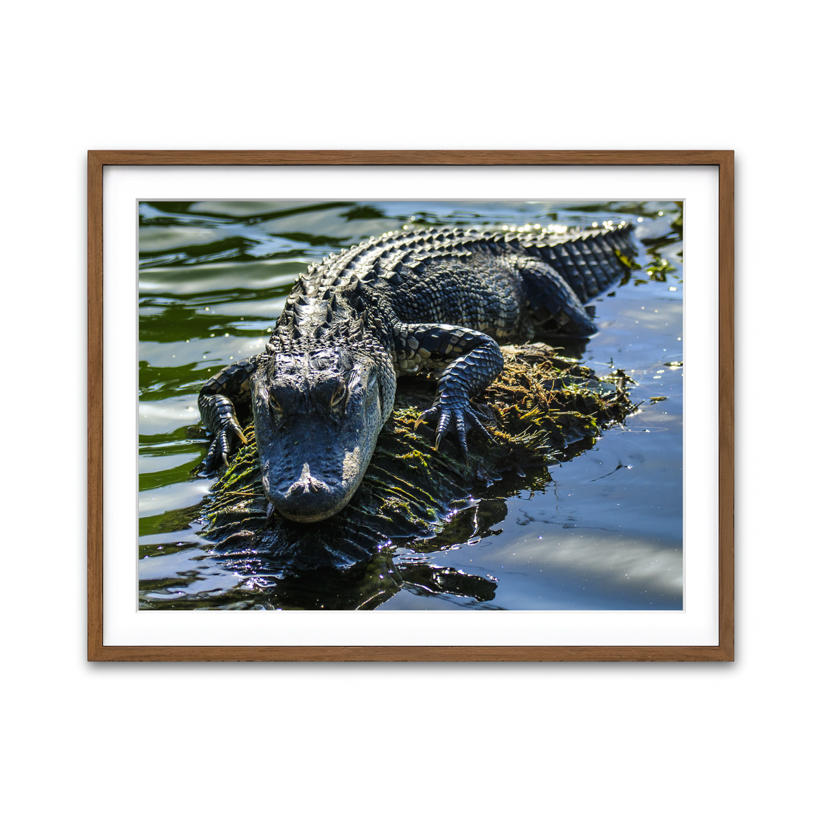 Framed Print 4x3 Walnut