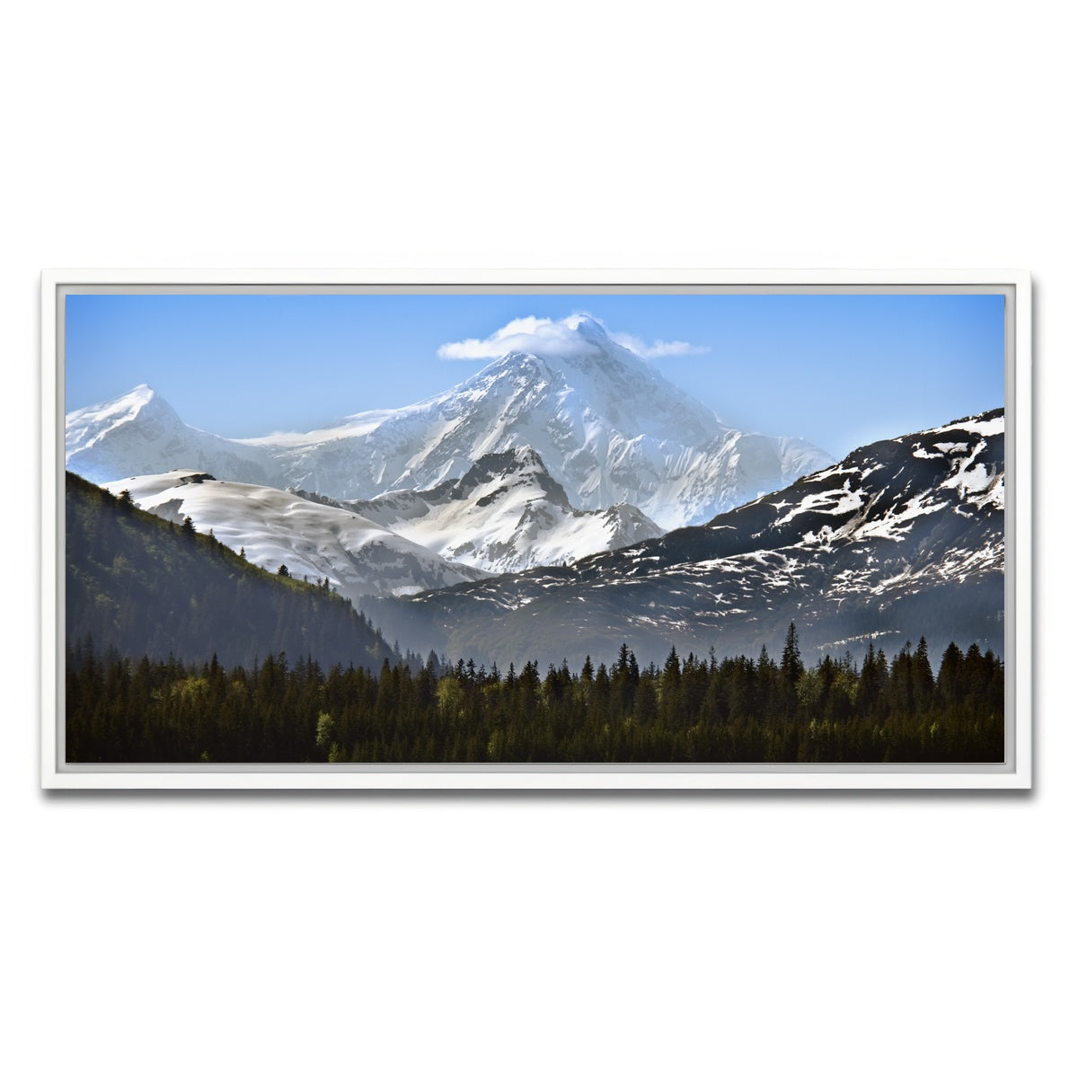 AUTO-MOCKUP WHITE | Glacier Bay National Park Alaska | 1 Piece | White Framed Canvas | group=2x1