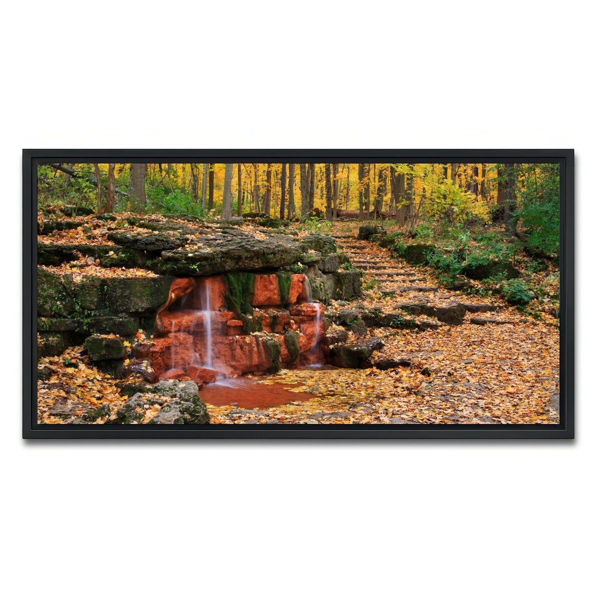 AUTO-MOCKUP WHITE | Glen Helen Nature Preserve | 1 Piece | Black Framed Canvas | group=2x1