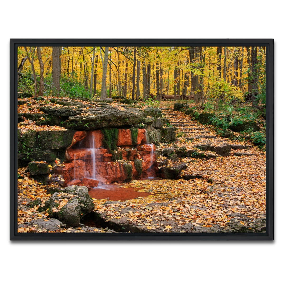 AUTO-MOCKUP WHITE | Glen Helen Nature Preserve | 1 Piece | Black Framed Canvas | group=4x3