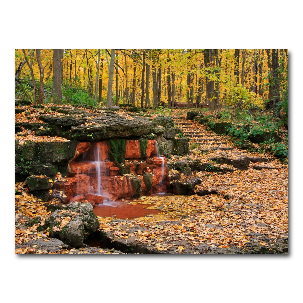 AUTO-MOCKUP WHITE | Glen Helen Nature Preserve | 1 Piece | Gallery Wrap Canvas | group=4x3