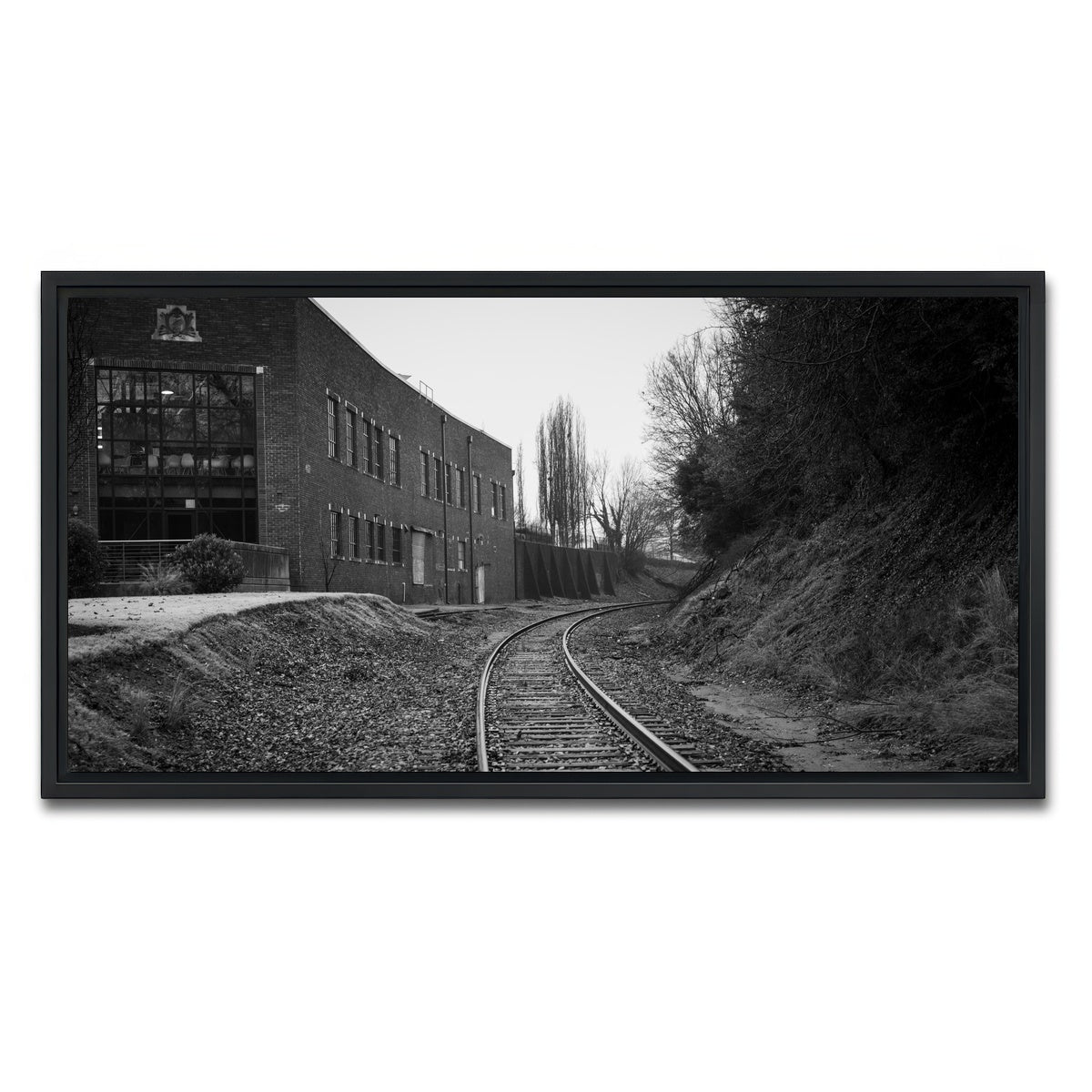 AUTO-MOCKUP WHITE | Greenville South Carolina Tracks | 1 Piece | Black Framed Canvas | group=2x1