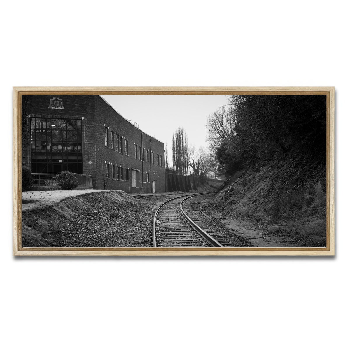 AUTO-MOCKUP WHITE | Greenville South Carolina Tracks | 1 Piece | Natural Framed Canvas | group=2x1