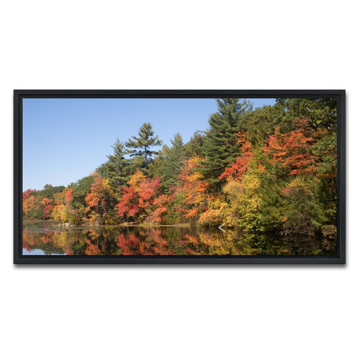 AUTO-MOCKUP WHITE | Harold Parker State Park | 1 Piece | Black Framed Canvas | group=2x1