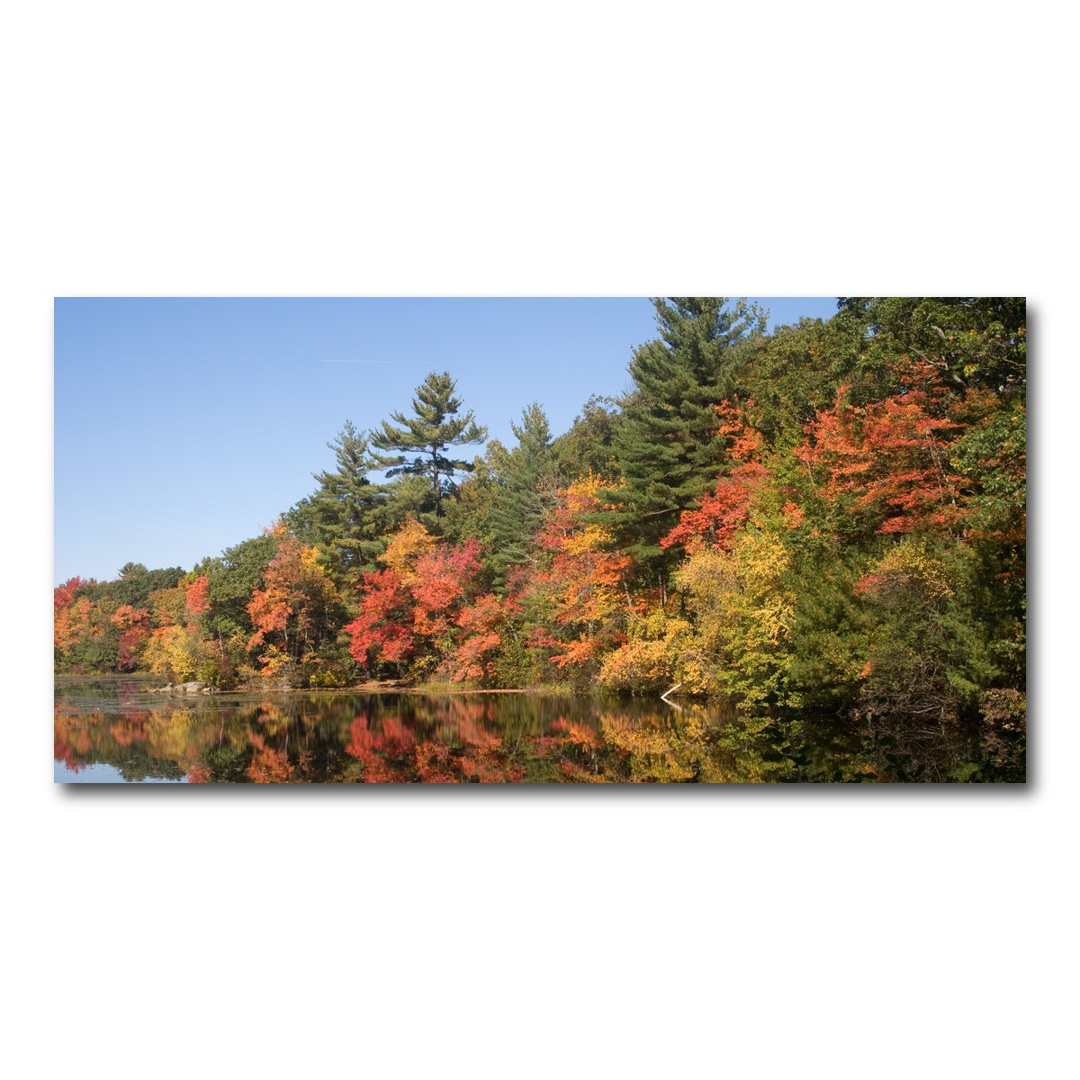 AUTO-MOCKUP WHITE | Harold Parker State Park | 1 Piece | Gallery Wrap Canvas | group=2x1