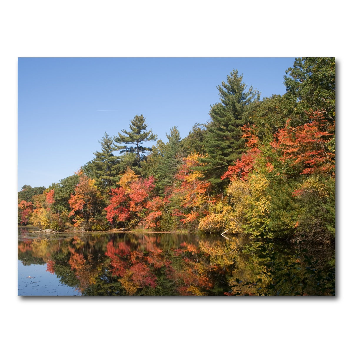 AUTO-MOCKUP WHITE | Harold Parker State Park | 1 Piece | Gallery Wrap Canvas | group=4x3