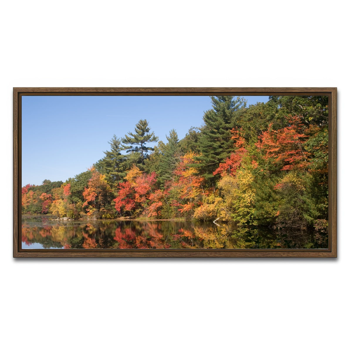 AUTO-MOCKUP WHITE | Harold Parker State Park | 1 Piece | Walnut Framed Canvas | group=2x1