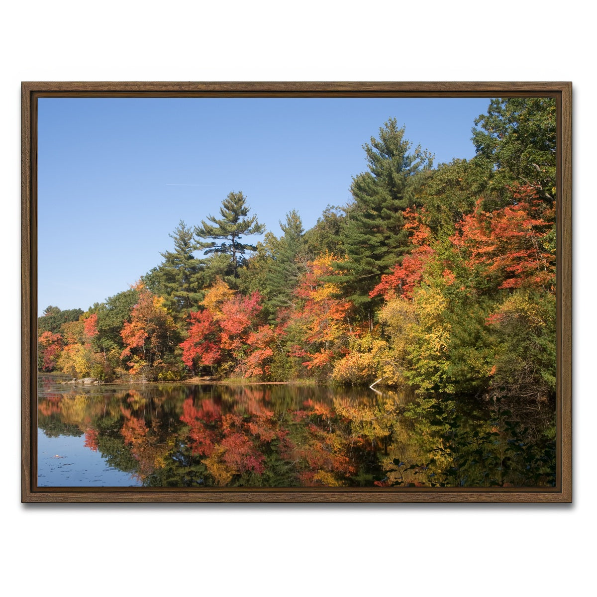AUTO-MOCKUP WHITE | Harold Parker State Park | 1 Piece | Walnut Framed Canvas | group=4x3