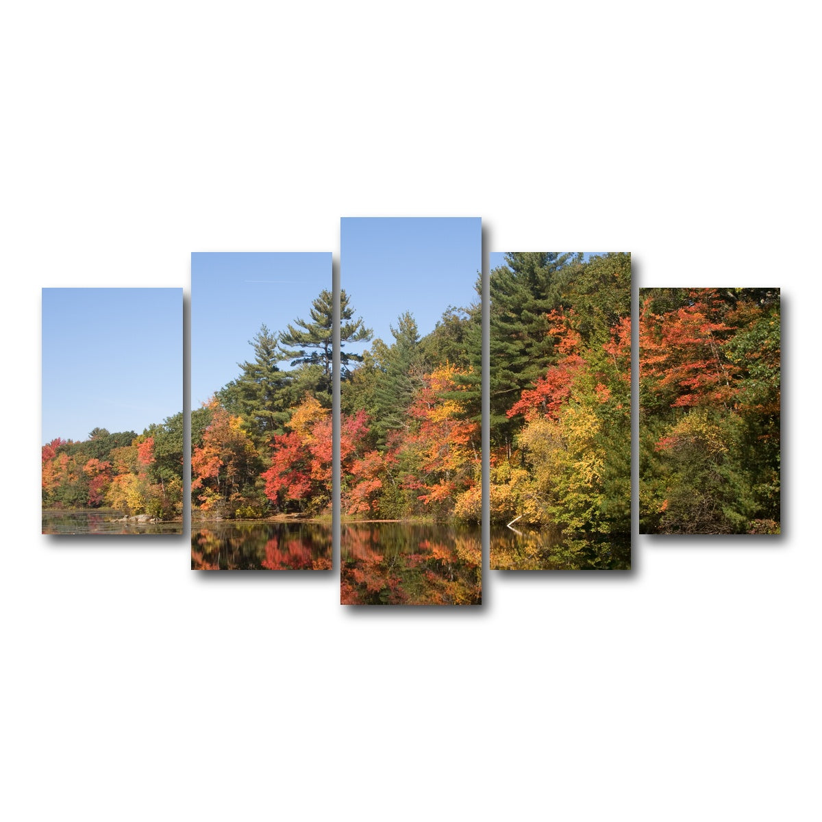AUTO-MOCKUP WHITE | Harold Parker State Park | 5 Piece | Gallery Wrap Canvas | group=5_normal