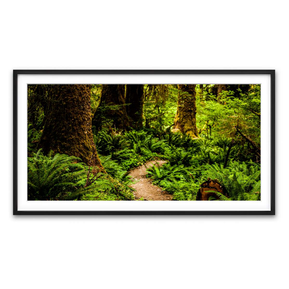 Framed Print 2x1 Black