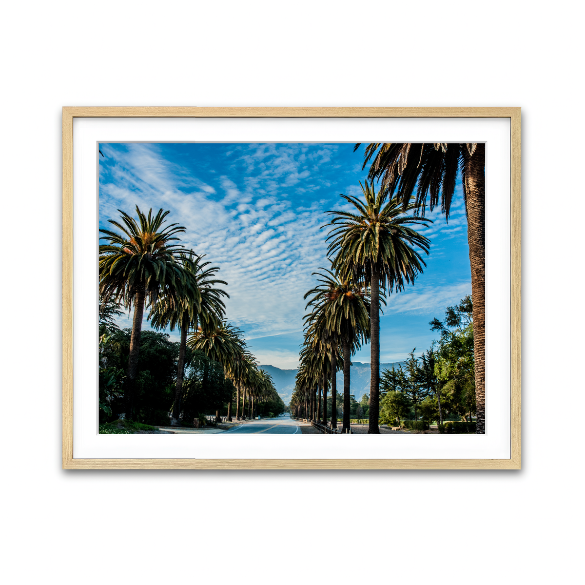 Hope Ranch Palm Drive Wall Art