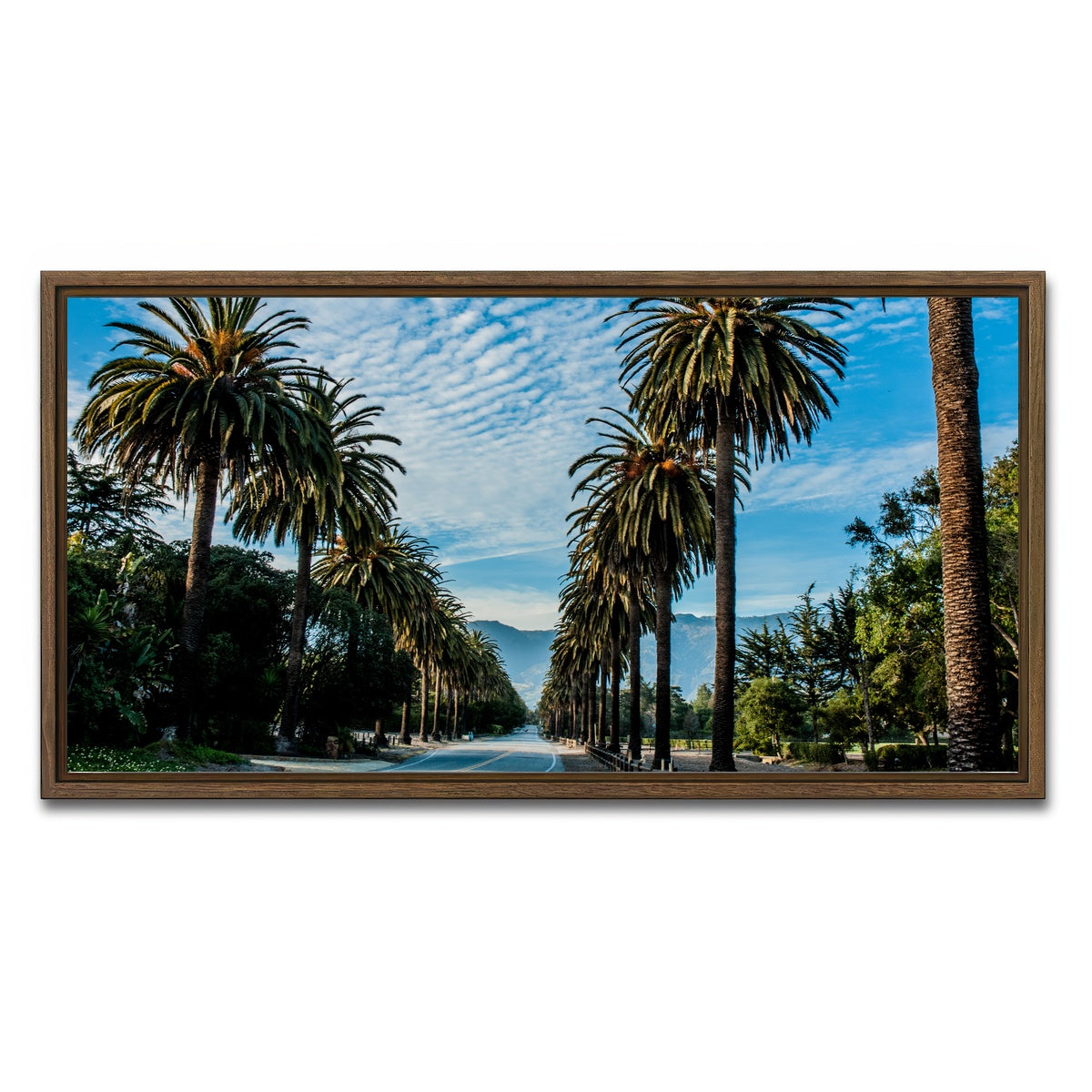 Hope Ranch Palm Drive Wall Art