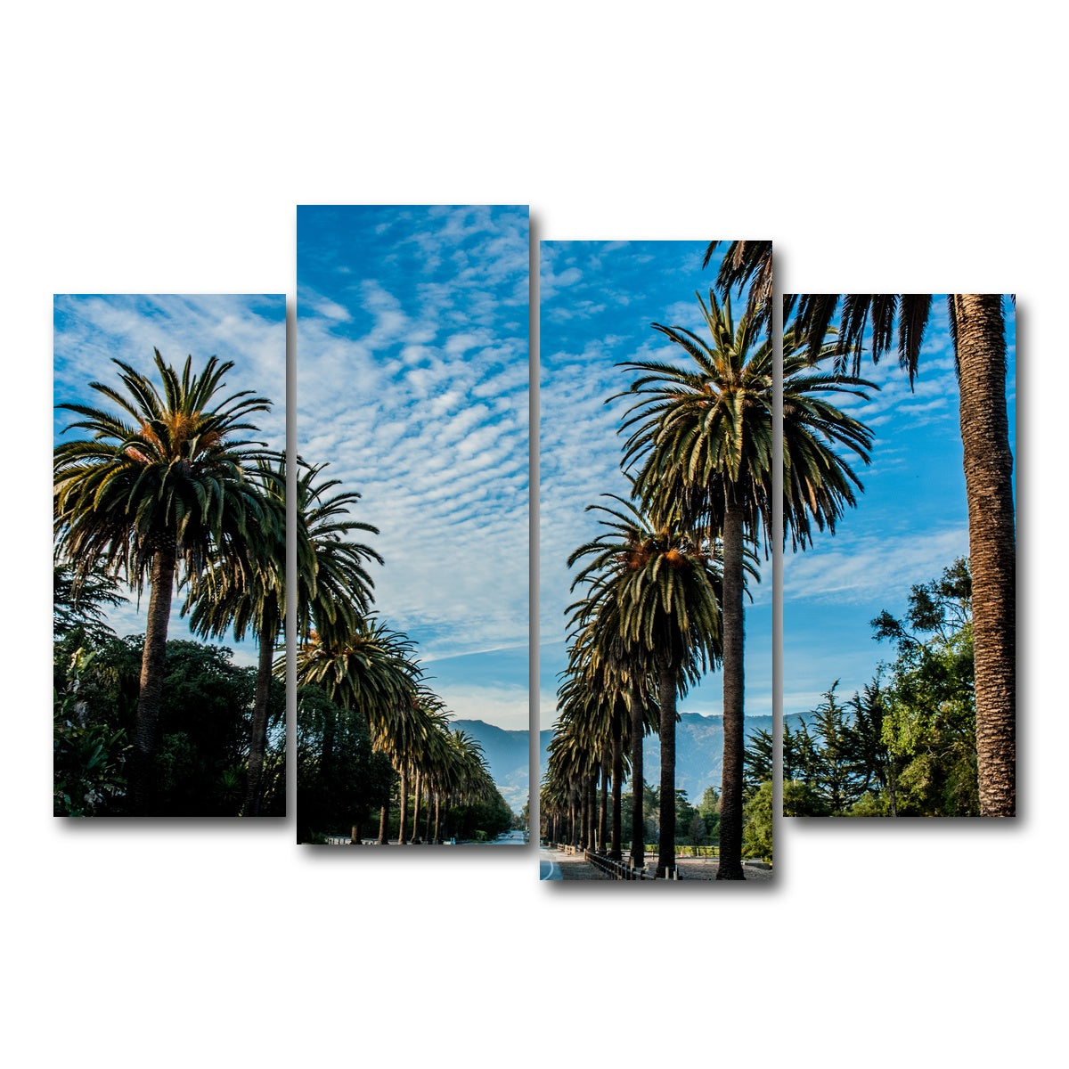 Hope Ranch Palm Drive Wall Art