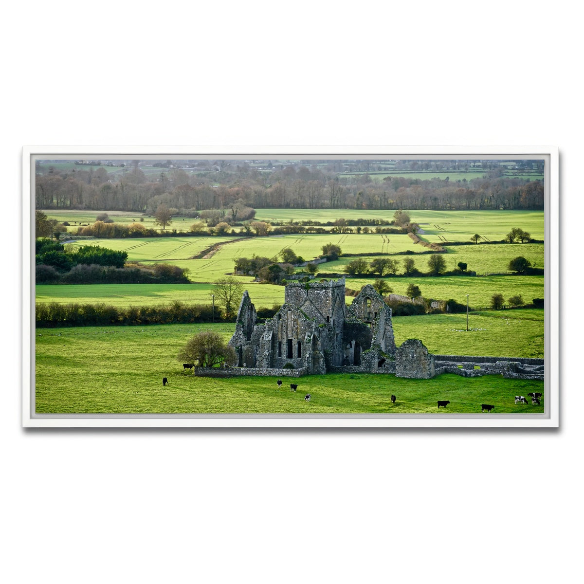 AUTO-MOCKUP WHITE | Hore Abbey, Ireland | 1 Piece | White Framed Canvas | group=2x1