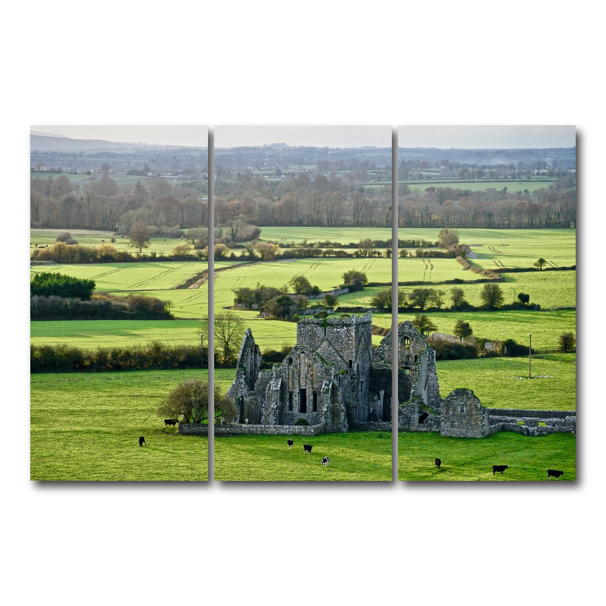 AUTO-MOCKUP WHITE | Hore Abbey, Ireland | 3 Piece | Gallery Wrap Canvas | group=12x24