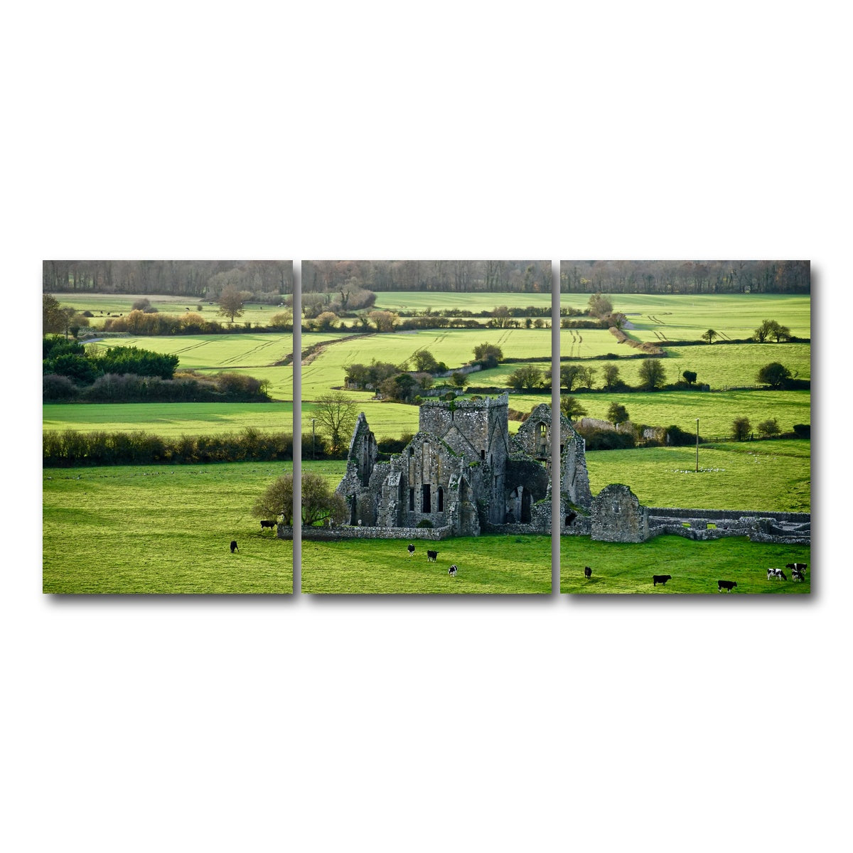 AUTO-MOCKUP WHITE | Hore Abbey, Ireland | 3 Piece | Gallery Wrap Canvas | group=18x24