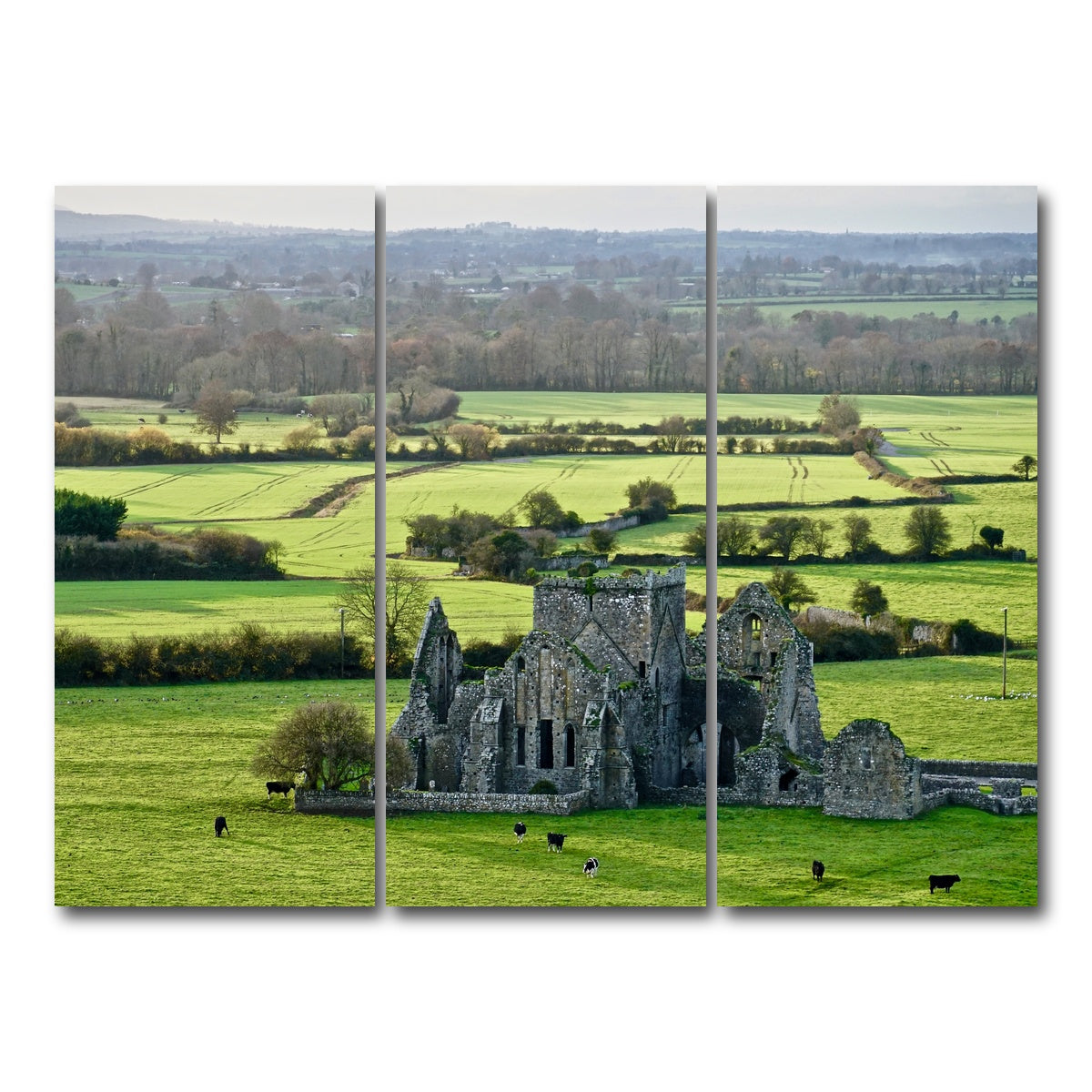 AUTO-MOCKUP WHITE | Hore Abbey, Ireland | 3 Piece | Gallery Wrap Canvas | group=8x18