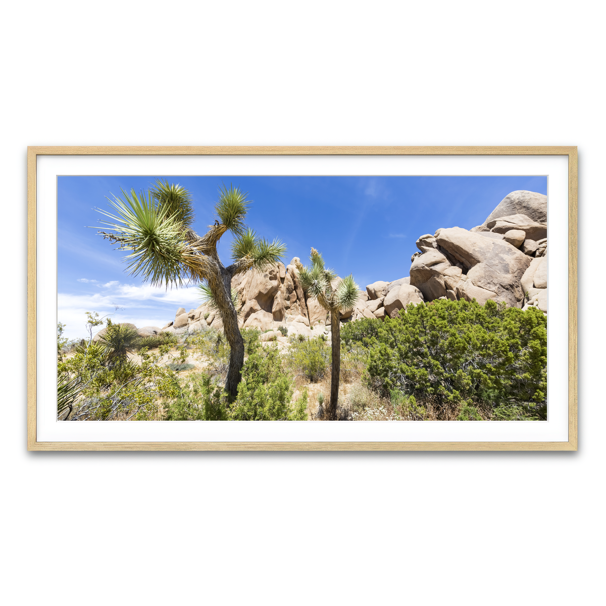 Impression from Joshua Tree National Park Wall Art