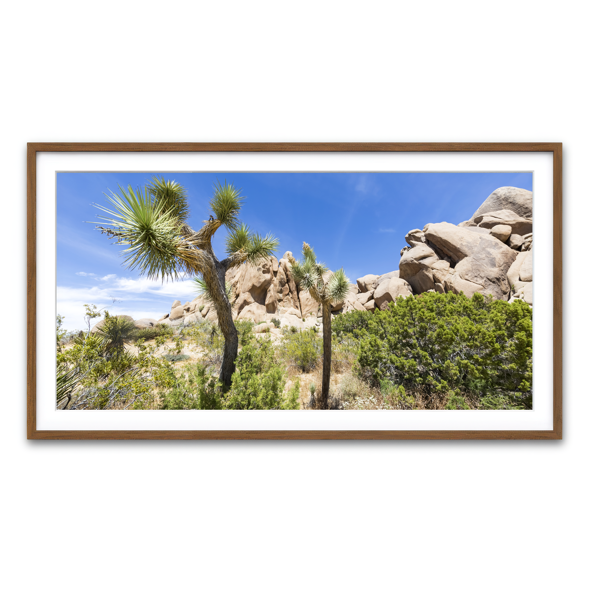 Impression from Joshua Tree National Park Wall Art