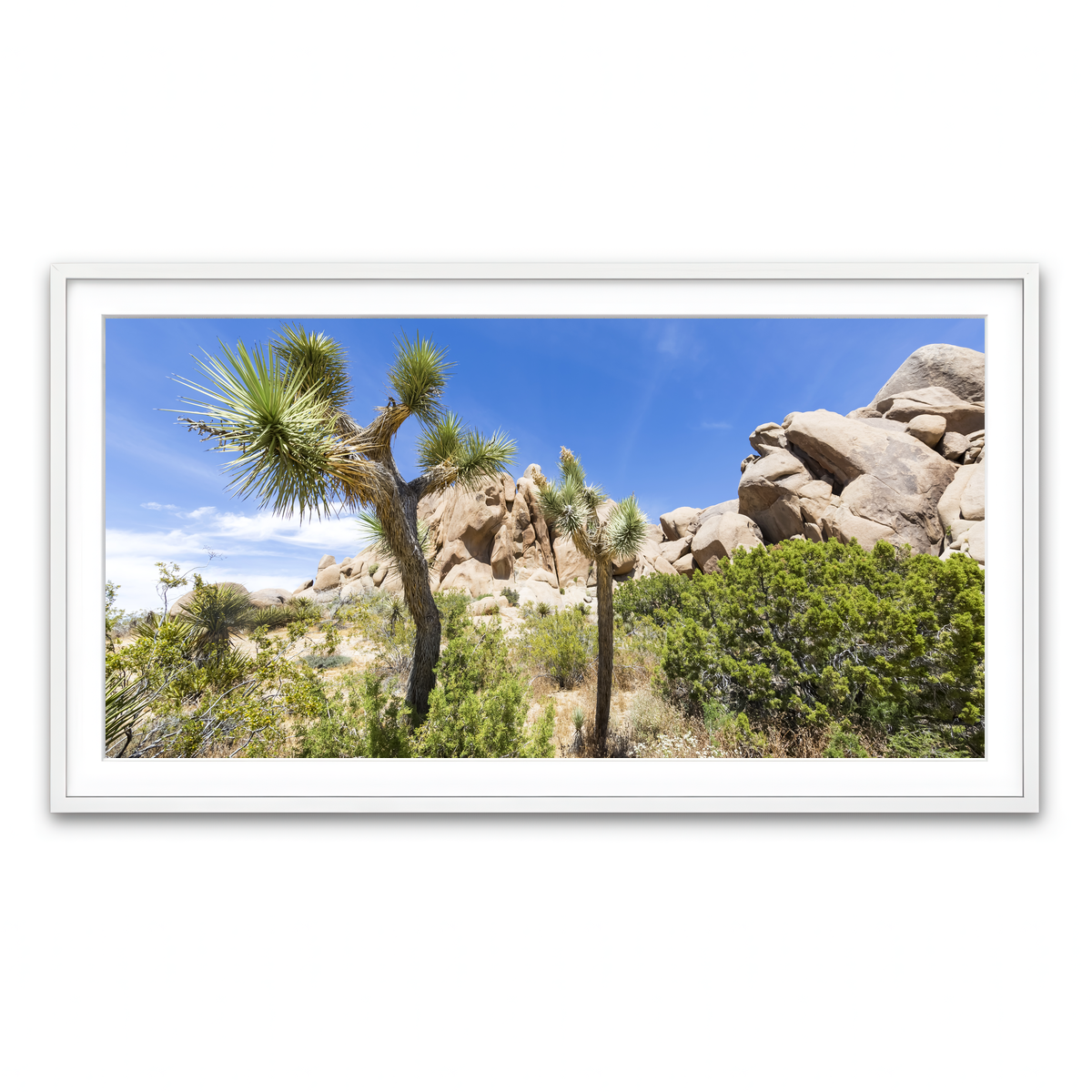 Impression from Joshua Tree National Park Wall Art