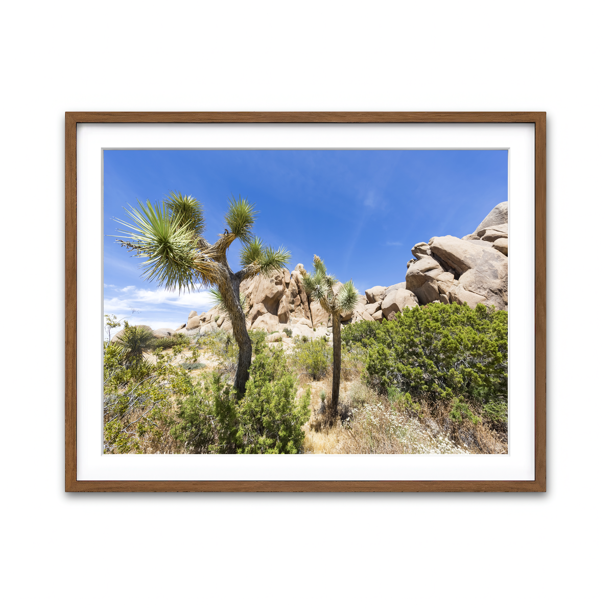 Impression from Joshua Tree National Park Wall Art