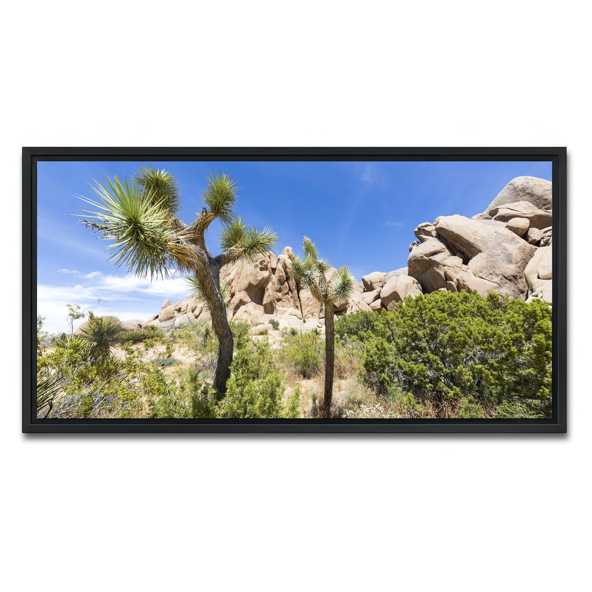 Impression from Joshua Tree National Park Wall Art