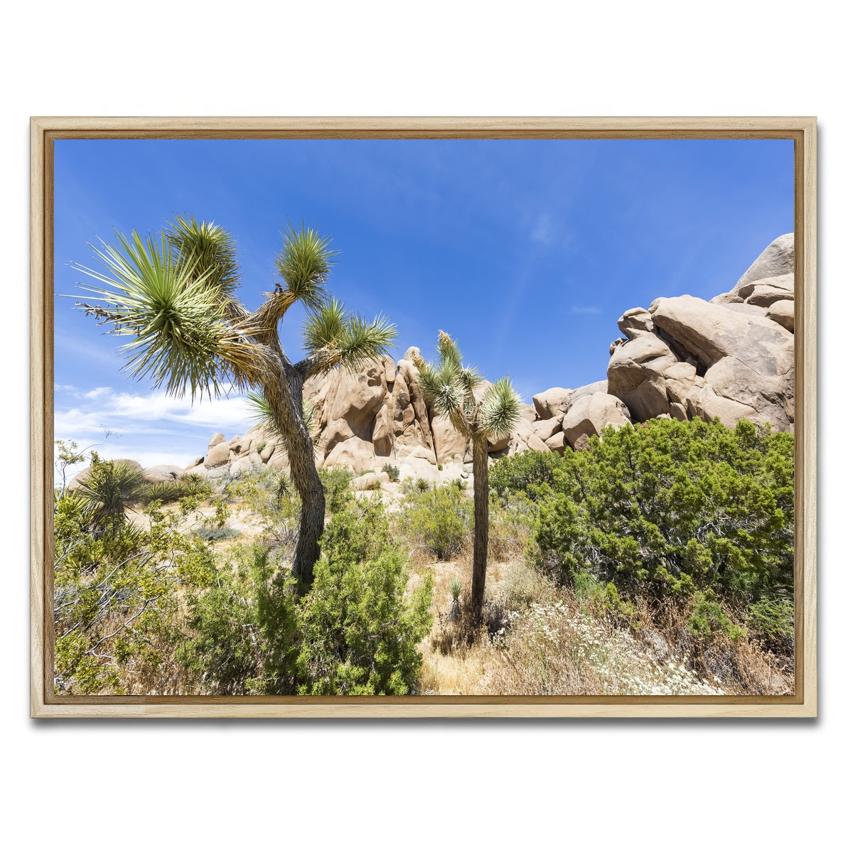 Impression from Joshua Tree National Park Wall Art