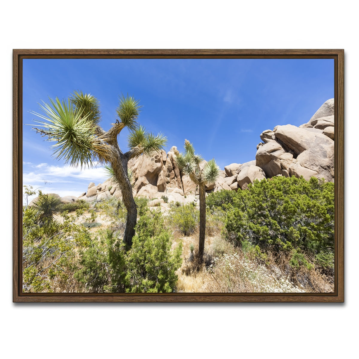 Impression from Joshua Tree National Park Wall Art